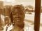 sheba243